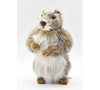 Hansa - Peluche Marmotte 25cmH