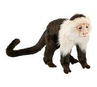 Hansa - Peluche Singe Capucin 20cmH/25cmL G