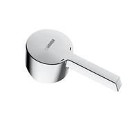 Hansa Pinto Levier, 59913586,