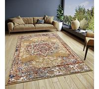 HANSE Home Maderno Tapis Oriental Classique tissé serré avec Ornements - Aspect Vintage - Poils Courts Doux - pour Chambre à Coucher, Salle à Manger, Salon, Couloir - Doré, 57 x 90 cm