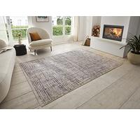 HANSE Home Sole Tapis de Salon à Poils Courts Moderne, Abstrait, chiné, Look usé, Style Vintage, certifié Oeko-Tex, pour Salle à Manger, Chambre d'enfant, Chambre d'adolescent, Couloir - Gris crème,