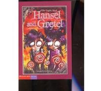 Hansel and Gretel The Graphic Novel by Donald Lemke Donald Lemke (Auteur)