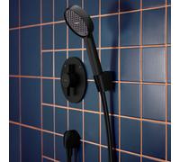 Hansgrohe Activera Select S pommeau de douche noir 28034670