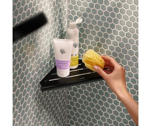 hansgrohe AddStoris S Tablette de douche, 41761670,