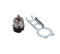 Hansgrohe Cartouche 14095000 sans raccord pour irrigateur oral, lavabo/bidet/robinet cuisine