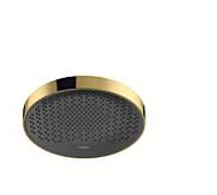 Hansgrohe Pomme de douche Rainfinity 360 1 jet – Murale/Plafond – Or poli