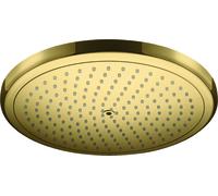 hansgrohe 26221990 1jet, 8,5 l/min, optique or poli
