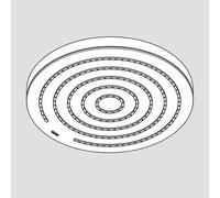 hansgrohe Douche de tête pour colonne de douche Pulsify S, 94520140,