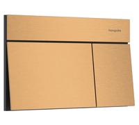 Hansgrohe Element E bouton de chasse d'eau pour WC || 66003140