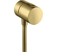 hansgrohe Fixfit vanne d'arrêt 38882950 en saillie, laiton brossé