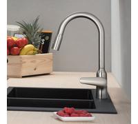 hansgrohe Focus M42 mitigeur monocommande de cuisine M42 220, douchette coulissante, 2 jets, 71800800, Couleur: Finition en acier inoxydable