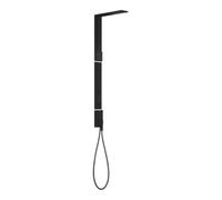 Hansgrohe hansgrohe Axor D-Pane Composition Douche m TH, KB, 110x220mm, 1 an, SB, mat-noir Quantité:1