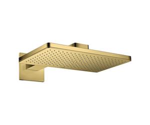 Hansgrohe hansgrohe Douche de tête Axor avec bras, ek Ro, 460x300mm, 1 an, po gol opt Quantité:1