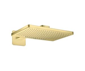 Hansgrohe hansgrohe Douche de tête Axor m bras, Ro Softc, 460x300mm, 2 jets, b br Quantité:1