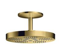 hansgrohe Axor One douche de tête 48494990 avec raccordement au plafond, 2jets, optique or poli