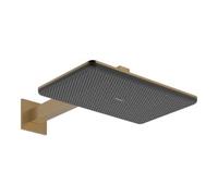 Hansgrohe Douche de tête Raindance Alive Q 24550140 2 jets 210/340 avec bras de douche bronze brossé
