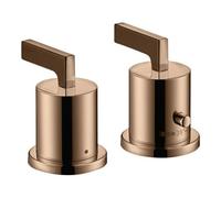 Hansgrohe hansgrohe Kit de montage Axor Citterio 2-L-W-Ran-Arm, c TH, HG, poli or rouge Quantité:1
