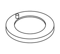 Hansgrohe hansgrohe Rosace pour bec de sortie chrome Quantité:1