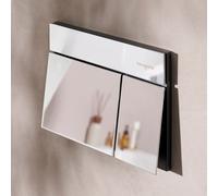 hansgrohe iFrame Element E Plaque de déclenchement pour WC, 66003000,