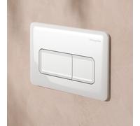 hansgrohe iFrame Original Q Plaque de déclenchement pour WC, 66001450,
