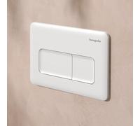 hansgrohe iFrame Original Q Plaque de déclenchement pour WC, 66001700,