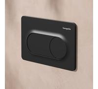 hansgrohe iFrame Original S Plaque de déclenchement pour WC, 66002670,