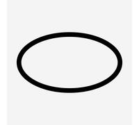 hansgrohe Joint torique, 98189000,