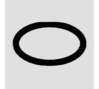 hansgrohe Joint torique de rechange, 92149000,