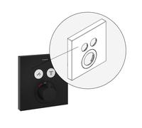 hansgrohe Plaque, 85008670,