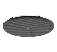 Hansgrohe Raindance alive pomme de douche 300 1 jet EcoSmart chrome 24521000