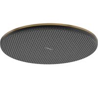 Hansgrohe Raindance Alive S douche à effet de pluie 30x30 cm ronde || 24521140