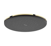 hansgrohe Raindance Alive S Douche de tête 300 1jet EcoSmart, 24521990, Couleur: Optique en or poli