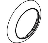 hansgrohe rosette Axor Carlton douche chrome 96741000