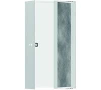 hansgrohe Niche murale XtraStoris 56082700 30x15x10cm, avec porte à carreler, blanc mat