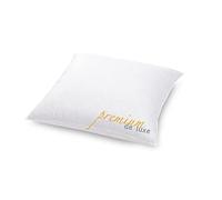 Hanskruchen® Oreiller en duvet de qualité supérieure - 45 x 45 cm - Fabriqué en Allemagne - 100 % coton - 90 % duvet et 10 % plumes - Oreiller pour personnes allergiques