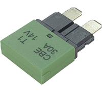 Hansor CBE1-3014 Disjoncteur pour fusible plat standard 30 A vert 1 pc(s)