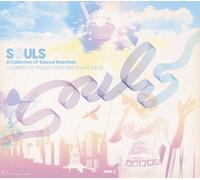 Hanzawa, Takeshi - Souls-A Collection of Salsoul Essentials