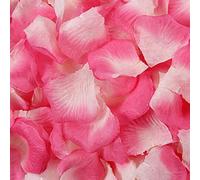 Haobase Lot de 2 000 pétales de rose artificiels pour la Saint-Valentin, demande en mariage, décoration de table (rose + blanc)