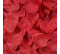 Haobase Lot de 2 000 pétales de rose artificiels pour Saint-Valentin, demande en mariage, décoration de table (rouge foncé)