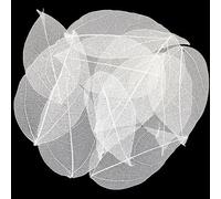 HAOBIN Lot de 50 feuilles artificielles décoratives pour guirlandes, feuilles sèches pour bricolages DIY, scrapbooking, création de cartes (blanches), A203DH0576