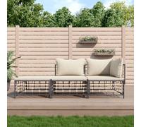 HaoChrymec Salon de Jardin 3 Pièces avec Coussins, en Polyrotin Résistant, Structure Acier Renforcée, Design Modulaire, Canapé d'angle et Pouf, pour Terrasse, Jardin, Balcon, Anthracite