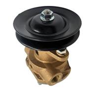 HAOCNC Pompe à Eau Brute avec poulie 344371 344089, Compatible avec Le générateur G906P G907P 4-6 KW 12,5KW gaz JPR KL101P2