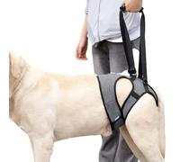 Haodream Écharpe de jambe arrière pour chiens avec faiblesse des pattes