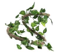 Haodream Terrarium, aménagement paysager, décoration de vigne | Dispositions Habitat superposées en utilisant des itinéraires incurvés pour les arbres, les lieux de retrait