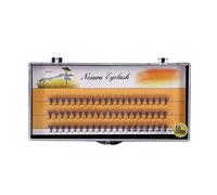 Haofy 60 PCS Extensions de Cils Individuel Cils Volume 3D Ventilateurs Naturels Faux Cils 9-12 MM (10mm)