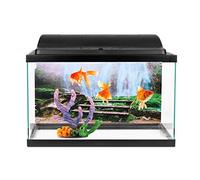 Haofy Affiche de Fond de Poisson, Autocollant de Scène sous-Marine Vibrante pour Aquariums d'eau Douce et d'eau Salée, Taille 24 X 16,1 Pouces Ajoute de la Profondeur aux Réservoirs de la Maison