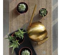 Haofy Arrosoir, Abreuvoir à Long Bec en Acier Inoxydable, capacité de 1000 ML pour Fleurs de Jardin et Plantes en Pot (Gold)