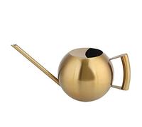 Haofy Arrosoir, Pot d'arrosage à Long Bec en Acier Inoxydable, capacité de 1000 ML, pour Les Plantes d'intérieur et Les Fleurs de Jardin (Gold)