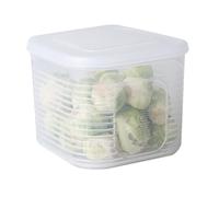 Haofy Boîte de Rangement pour Oignon, Gingembre et Ail, Matériau Sûr, évite les Odeurs, Polyvalente, Petite et Pratique, Adaptée pour Stocker L'oignon, le Gingembre, L'ail et D'autres