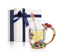 Haofy Coffret Cadeau Tasse à Thé, Ensemble de Tasses à Café en Verre Fantaisie avec Cuillère, Chiffon de Nettoyage et Boîte-Cadeau, Cadeaux Parfaits pour Femmes ou Filles (350ml)